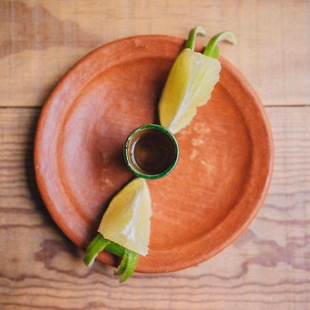 Casa Carmen Reforma Hotell Oaxaca Eksteriør bilde