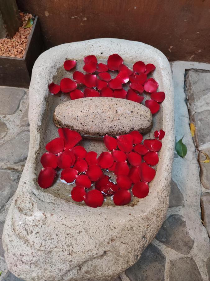 Casa Carmen Reforma Hotell Oaxaca Eksteriør bilde