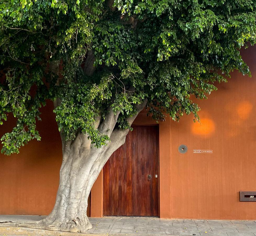 Casa Carmen Reforma Hotell Oaxaca Eksteriør bilde