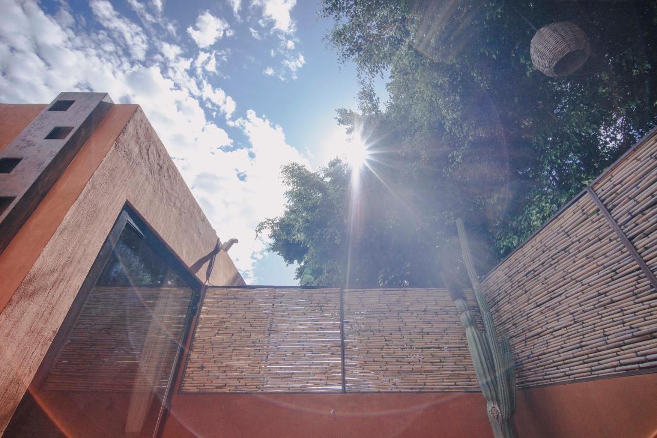 Casa Carmen Reforma Hotell Oaxaca Eksteriør bilde