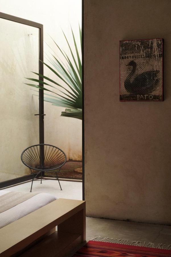 Casa Carmen Reforma Hotell Oaxaca Eksteriør bilde