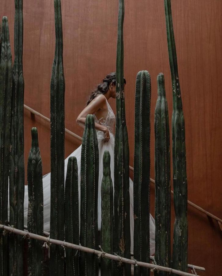 Casa Carmen Reforma Hotell Oaxaca Eksteriør bilde