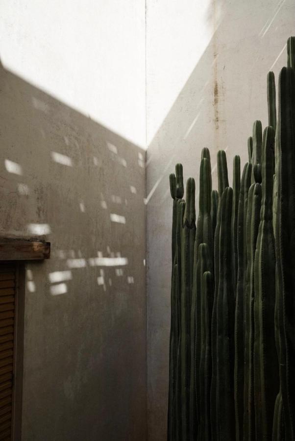 Casa Carmen Reforma Hotell Oaxaca Eksteriør bilde