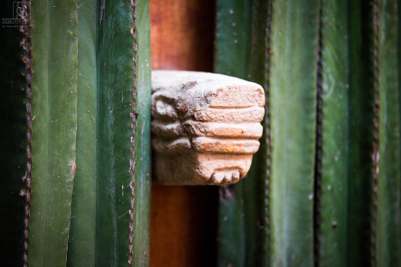 Casa Carmen Reforma Hotell Oaxaca Eksteriør bilde