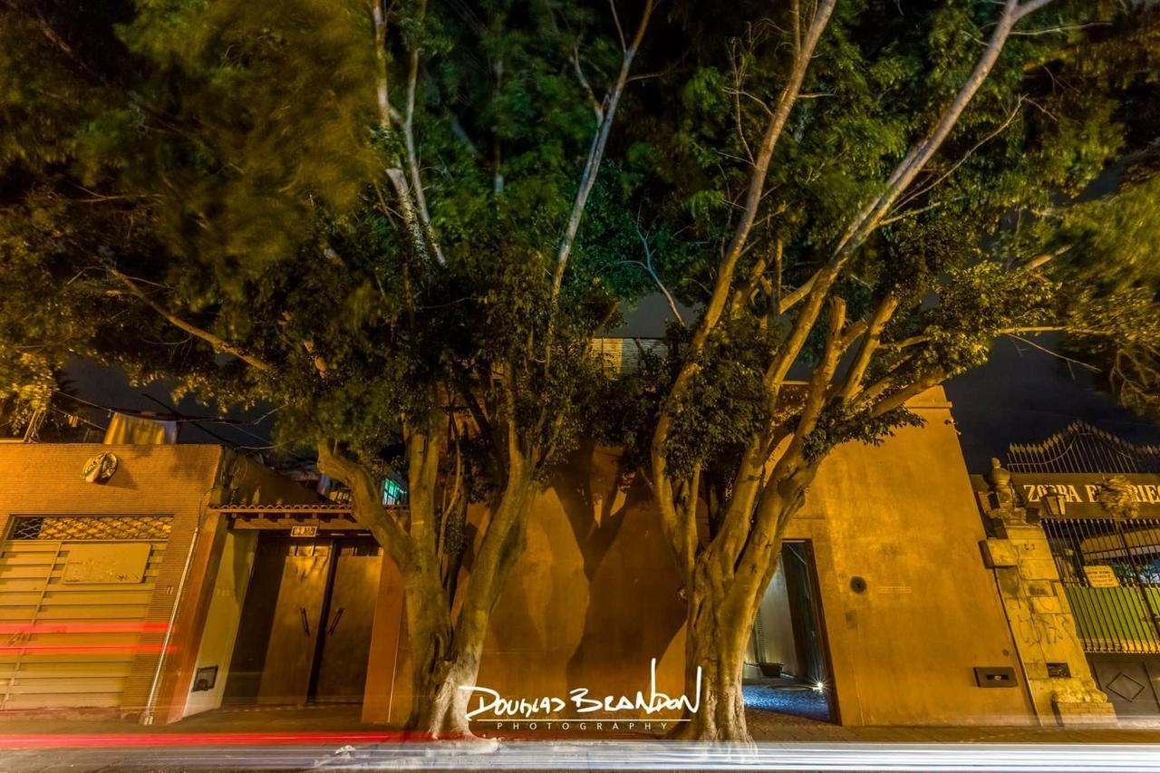 Casa Carmen Reforma Hotell Oaxaca Eksteriør bilde