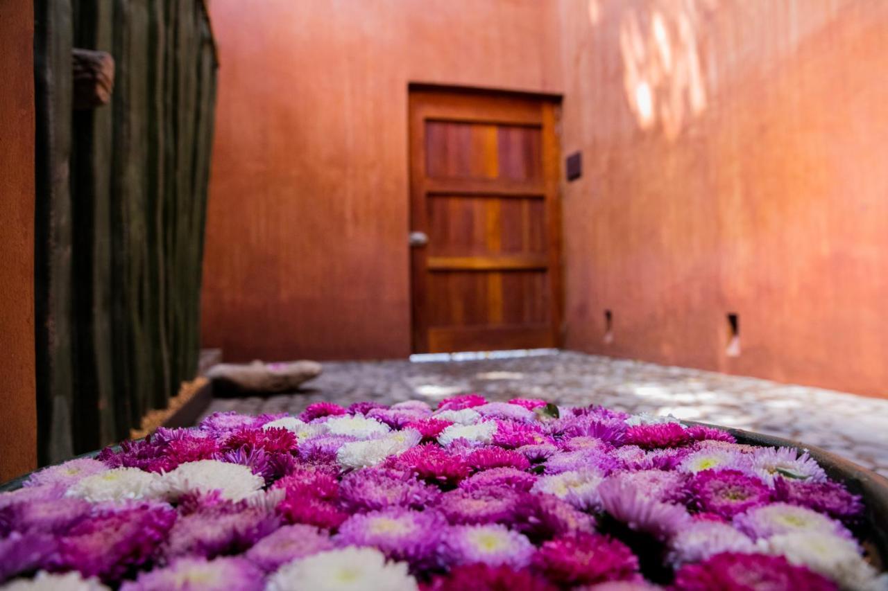 Casa Carmen Reforma Hotell Oaxaca Eksteriør bilde